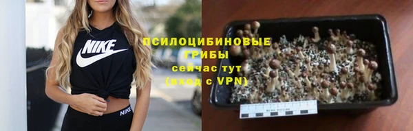 твердый Аркадак