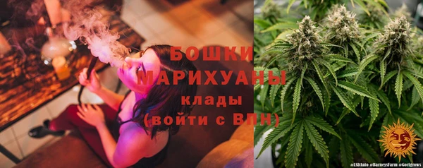 прущий лед Арсеньев