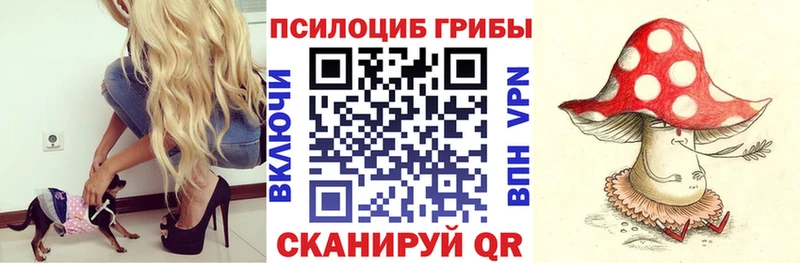 купить  сайты  Суровикино  Псилоцибиновые грибы Cubensis 